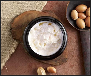 Shea Butter - INS601